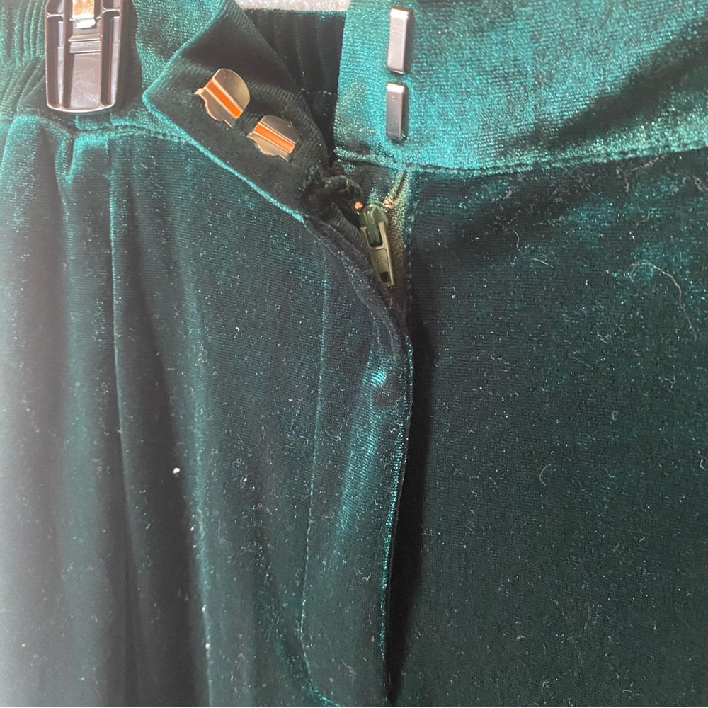 Emerald Velvet Velour Pants - Picture 3 of 6